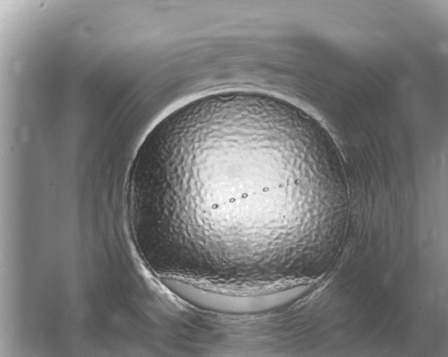 X0000064771534200602241934