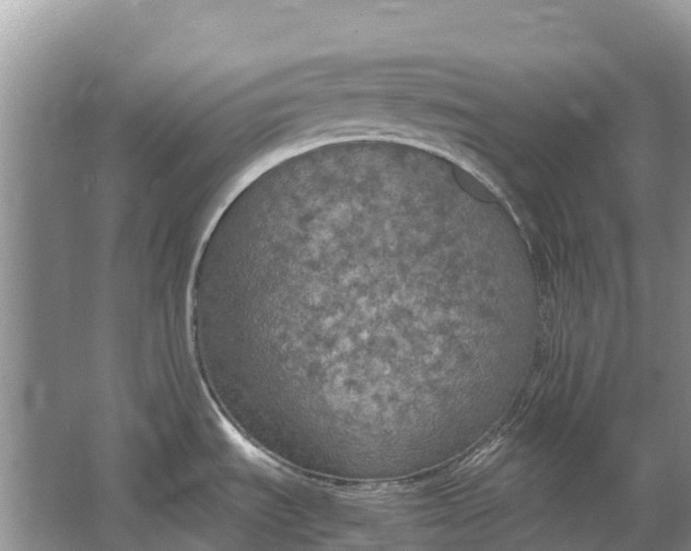 X0000064771535200602241934