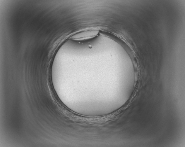 X0000064770001200603031837