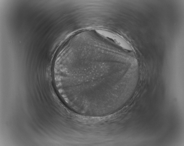 X0000064770002200603031837