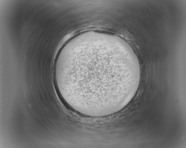 X0000064770003200603031837