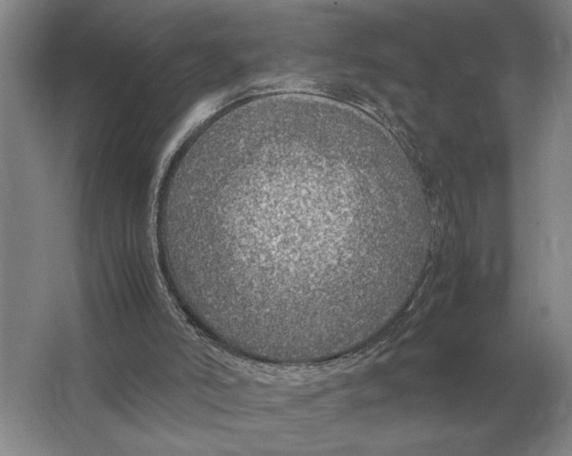 X0000064770006200603031837