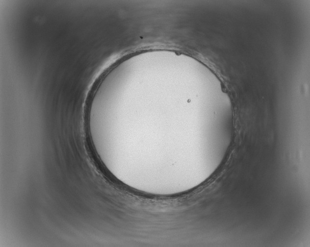 X0000064770008200603031837