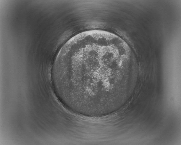 X0000064770010200603031837