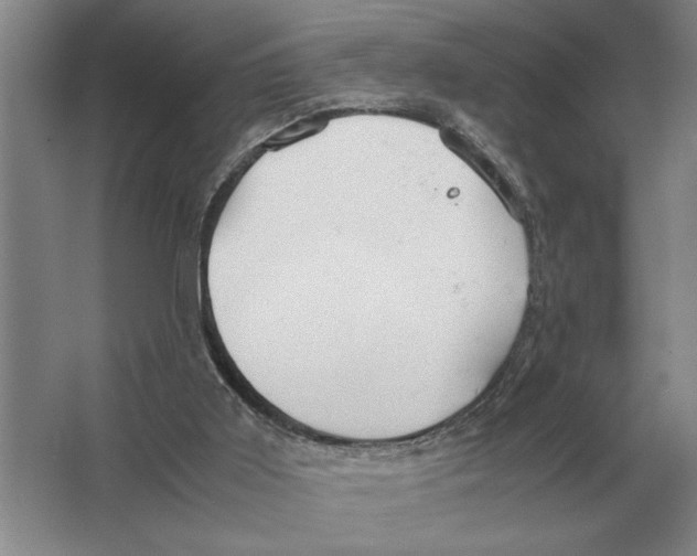 X0000064770011200603031837