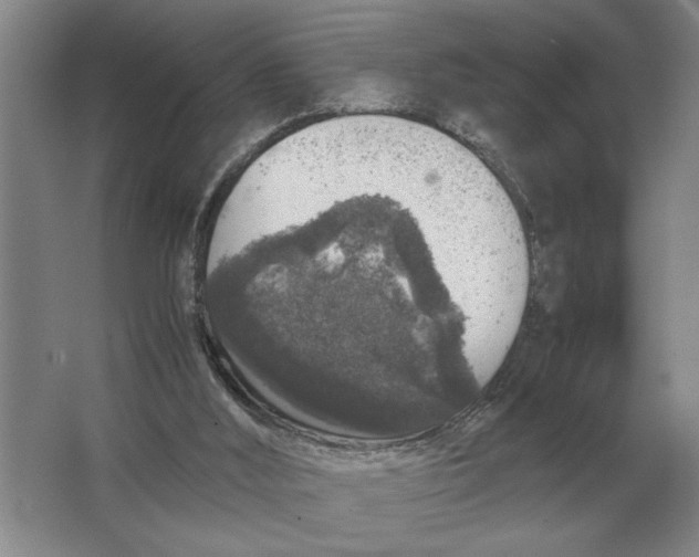 X0000064770012200603031837