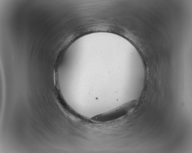 X0000064770013200603031837