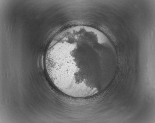 X0000064770014200603031837