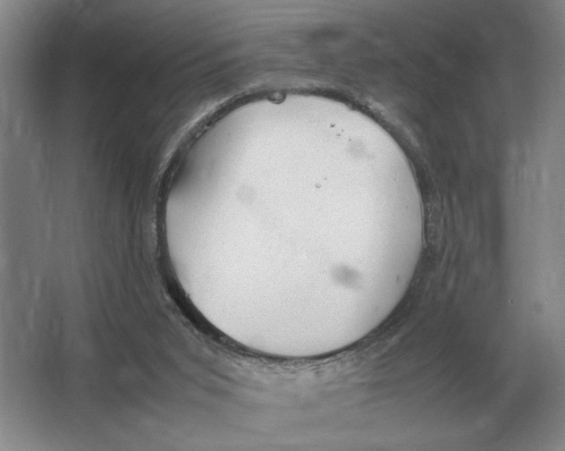 X0000064770015200603031837