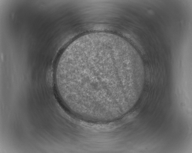 X0000064770016200603031837