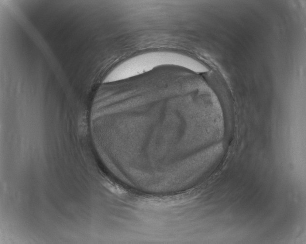 X0000064770017200603031837