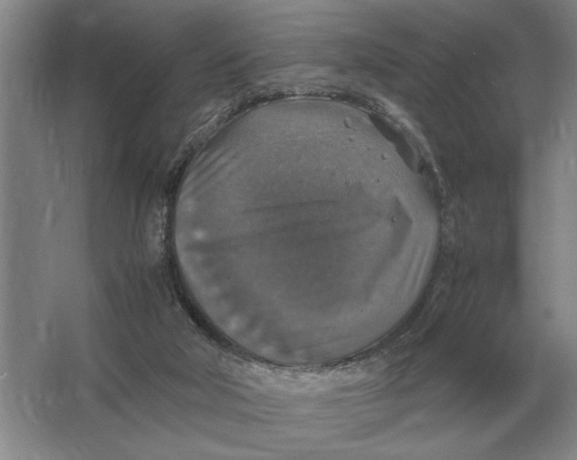 X0000064770018200603031837