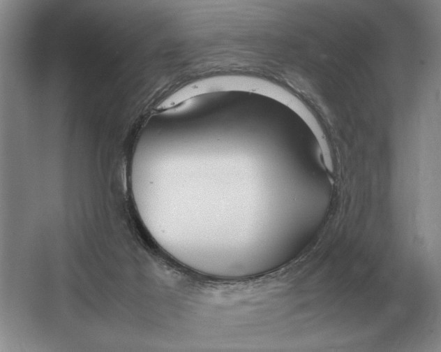 X0000064770021200603031837