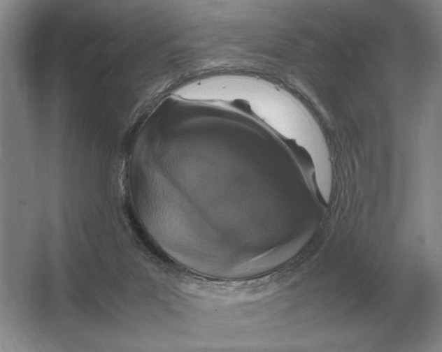 X0000064770023200603031837