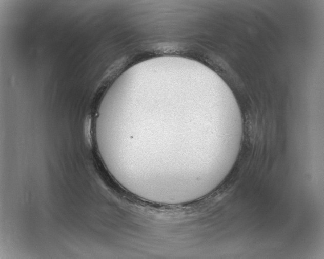 X0000064770024200603031837