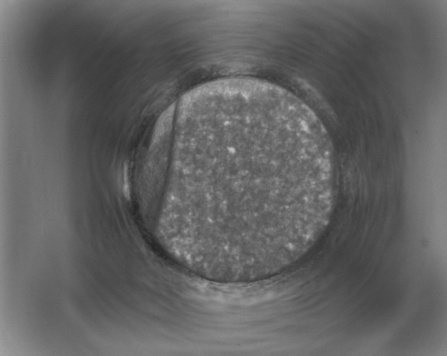 X0000064770026200603031837