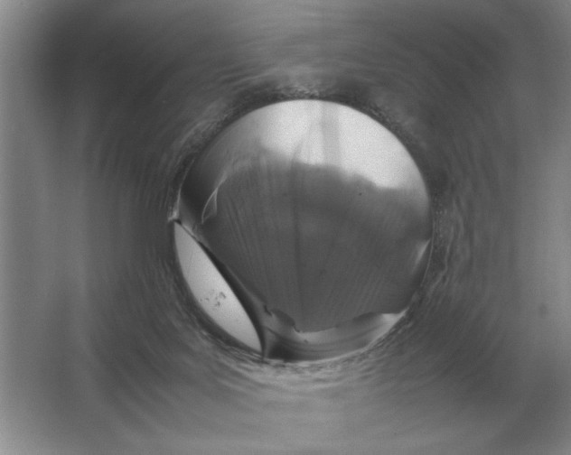 X0000064770027200603031837