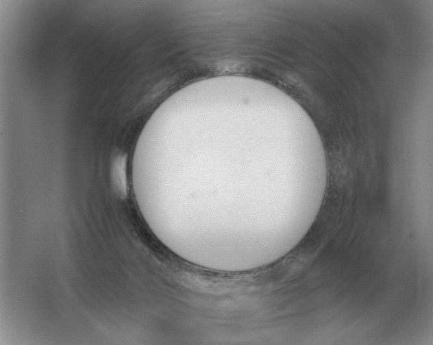 X0000064770028200603031837