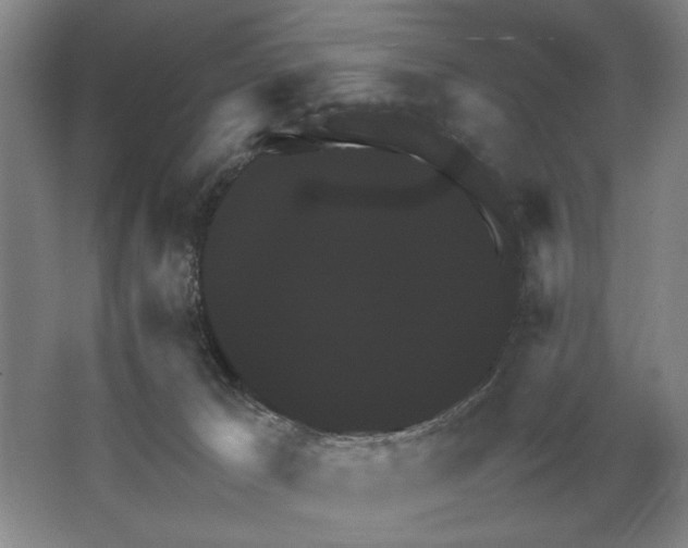 X0000064770029200603031837