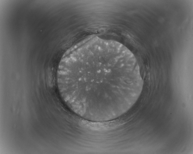 X0000064770030200603031837