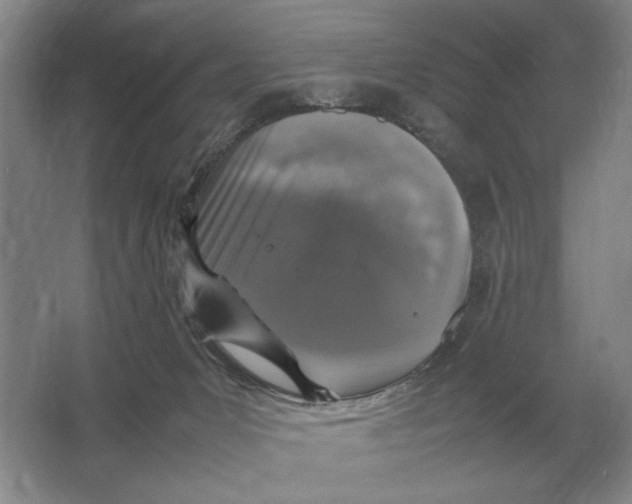 X0000064770031200603031837