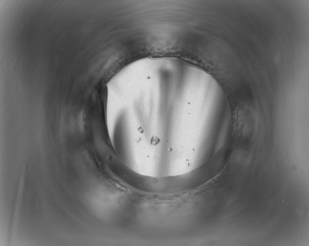 X0000064770033200603031837