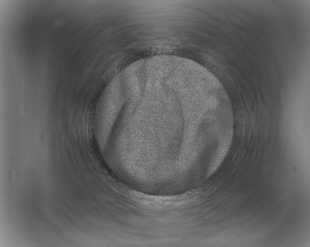 X0000064770034200603031837