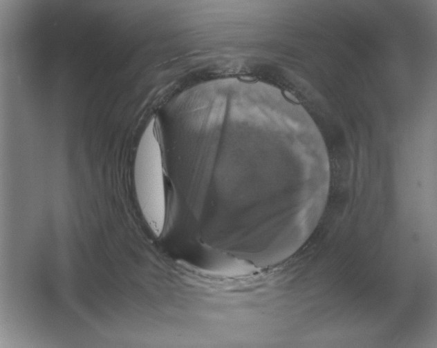 X0000064770035200603031837