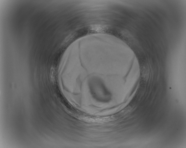 X0000064770036200603031837