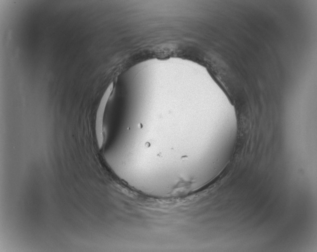 X0000064770037200603031837