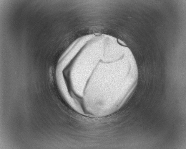 X0000064770038200603031837