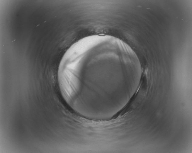 X0000064770039200603031837