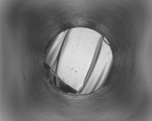 X0000064770040200603031837