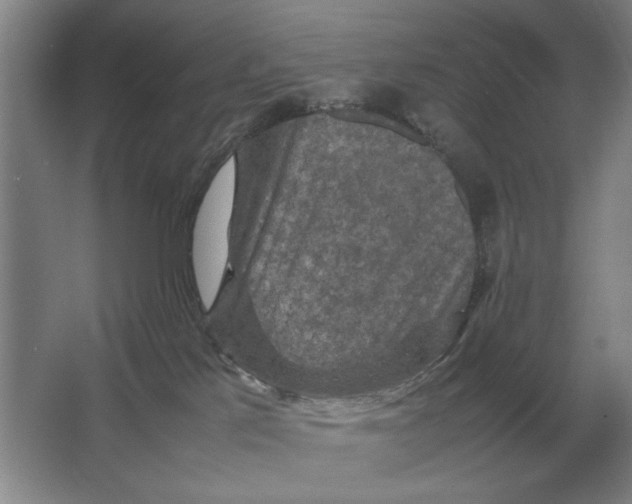 X0000064770041200603031837