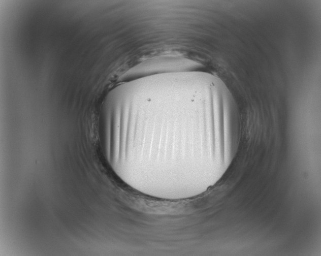 X0000064770044200603031837