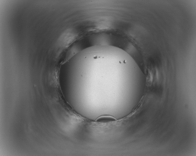 X0000064770045200603031837