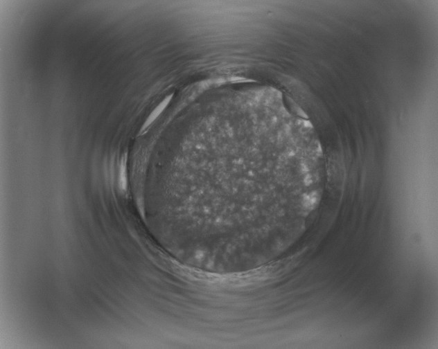 X0000064770046200603031837