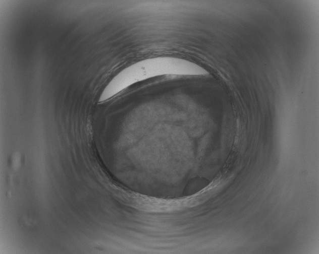 X0000064770048200603031837