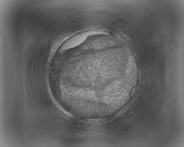 X0000064770049200603031836