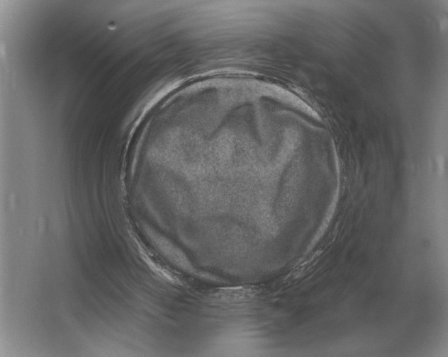 X0000064770050200603031836