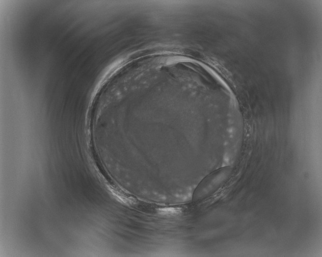 X0000064770053200603031836