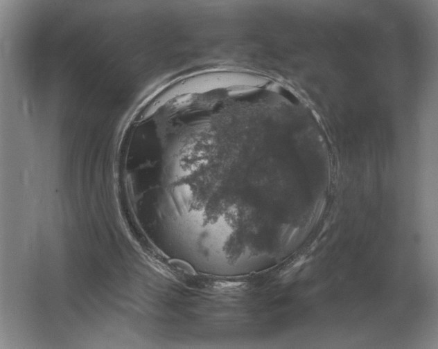 X0000064770055200603031836