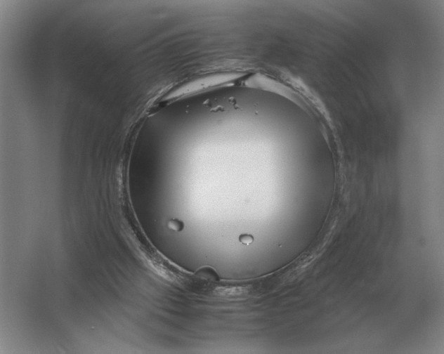 X0000064770057200603031836