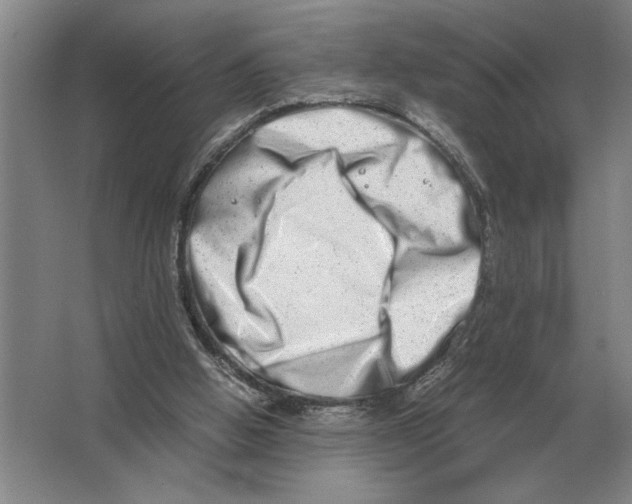 X0000064770058200603031836