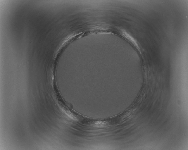 X0000064770059200603031836