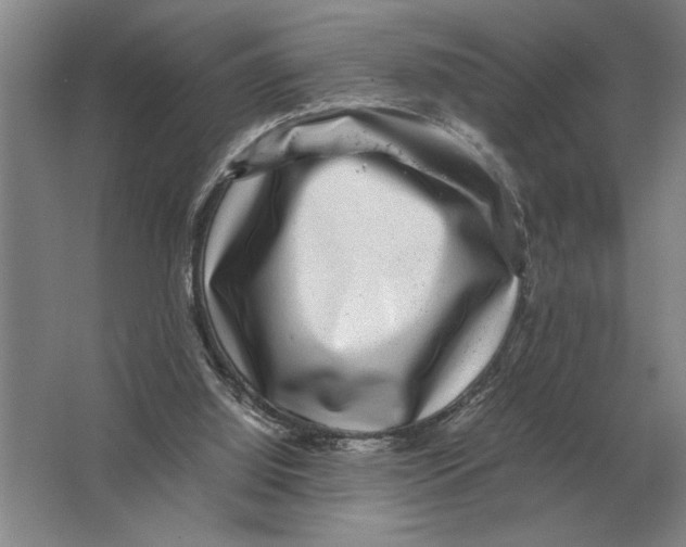 X0000064770060200603031836