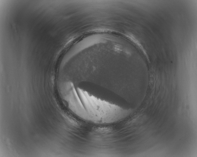 X0000064770063200603031836