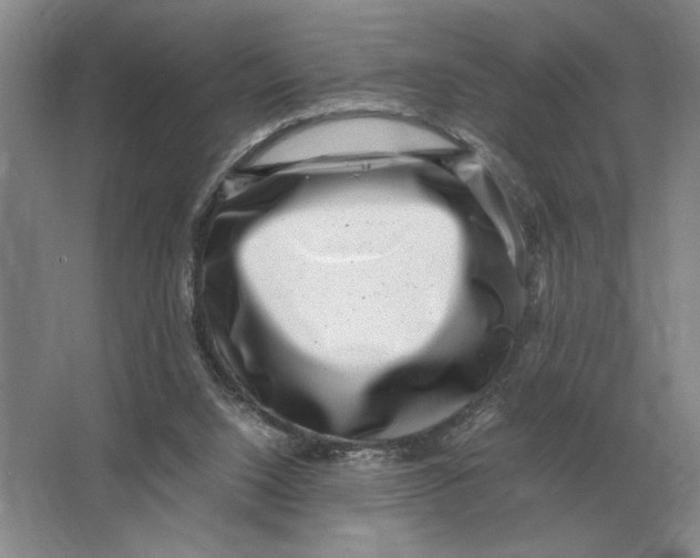 X0000064770064200603031836