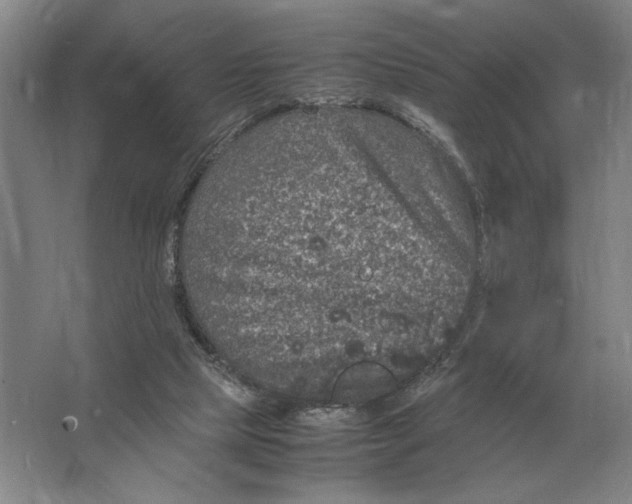 X0000064770065200603031836