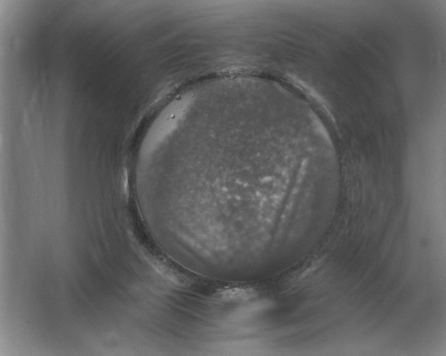 X0000064770067200603031836